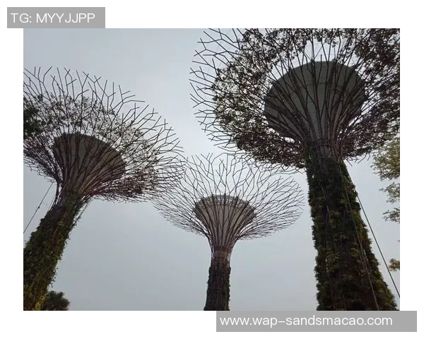 金沙会娱乐-金沙会娱乐，探索现代娱乐的新领域-金沙会娱乐